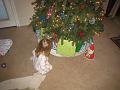 Christmas 2009 004